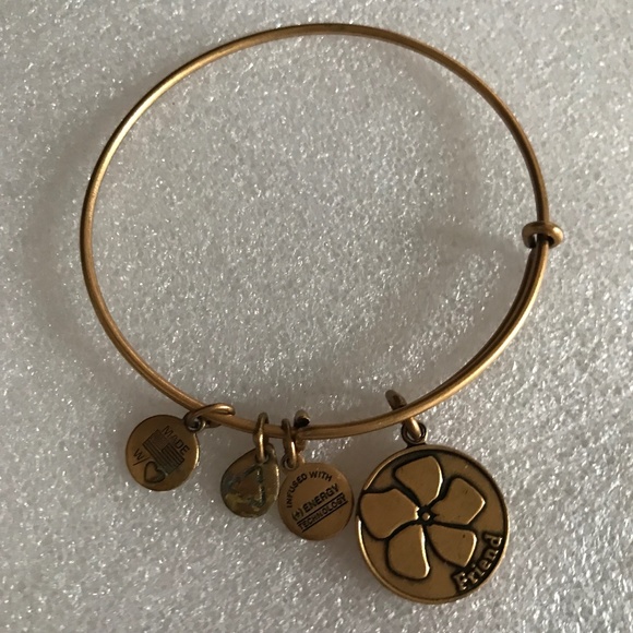 Alex and Ani Expandable Wire Bracelet - Friend - Picture 1 of 6
